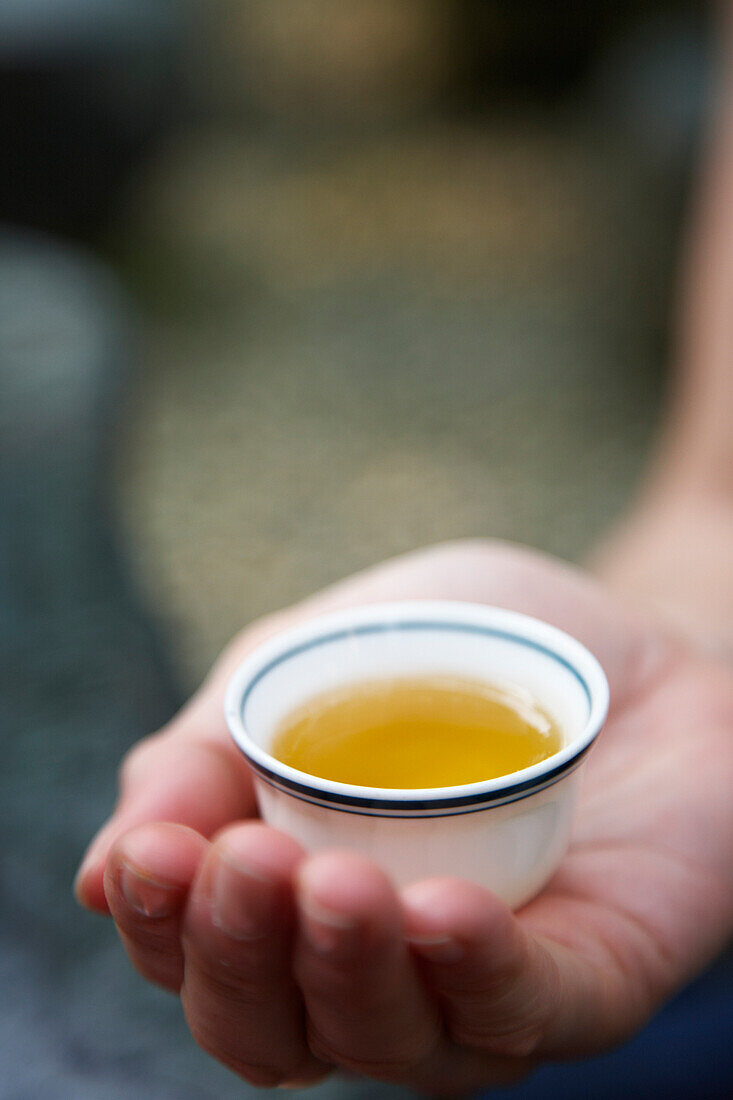 Holding teacup Maokong tea plantation Taiwan
