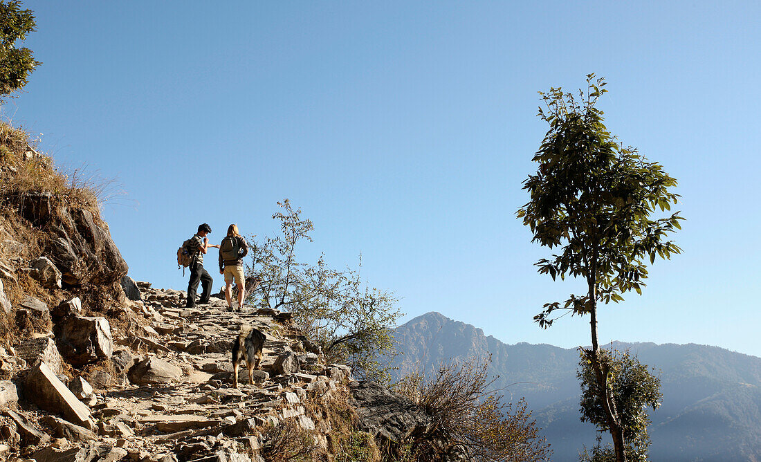 Tourists Trekking In The Himalayas; India