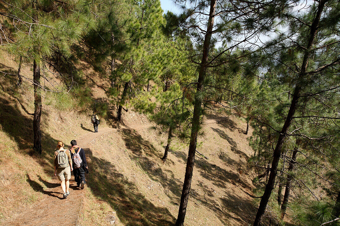 Tourist beim Trekking im Himalaya; Indien