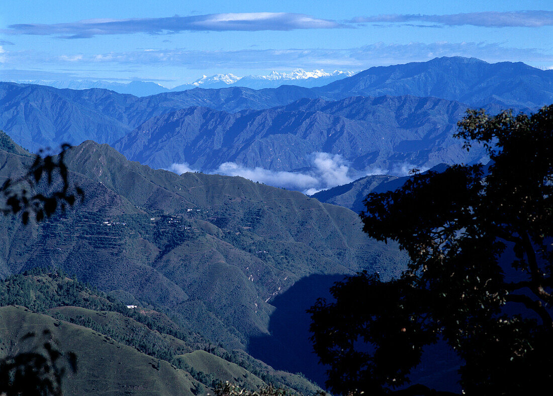 Blick auf den Himalaya vom Bergrücken aus, Simla, Himachel Pradesh, Indien