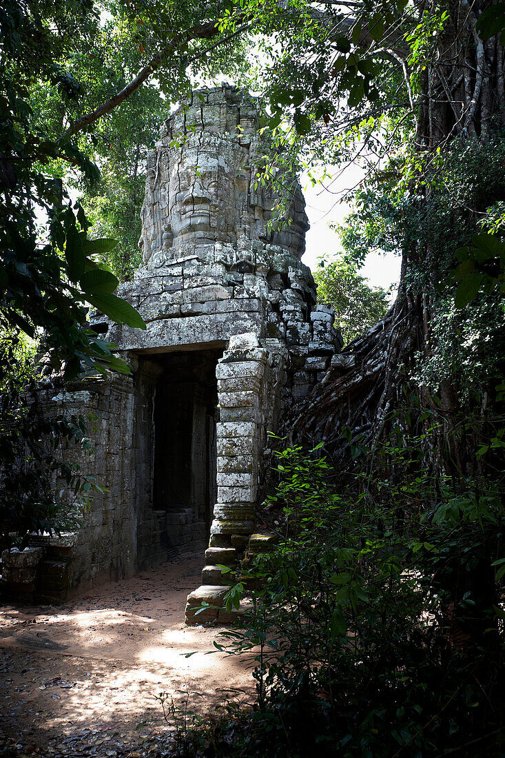 Tor zum Ta Prohm-Tempel Kambodscha