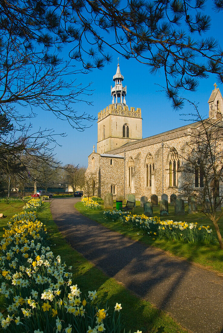 Europa, Vereinigtes Königreich, England, Norfolk, Shipdham Parish Church Spring