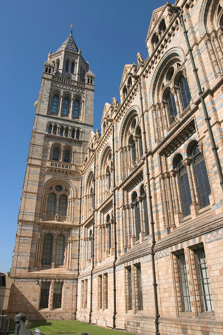 The Natural History Museum, London, England, Uk.