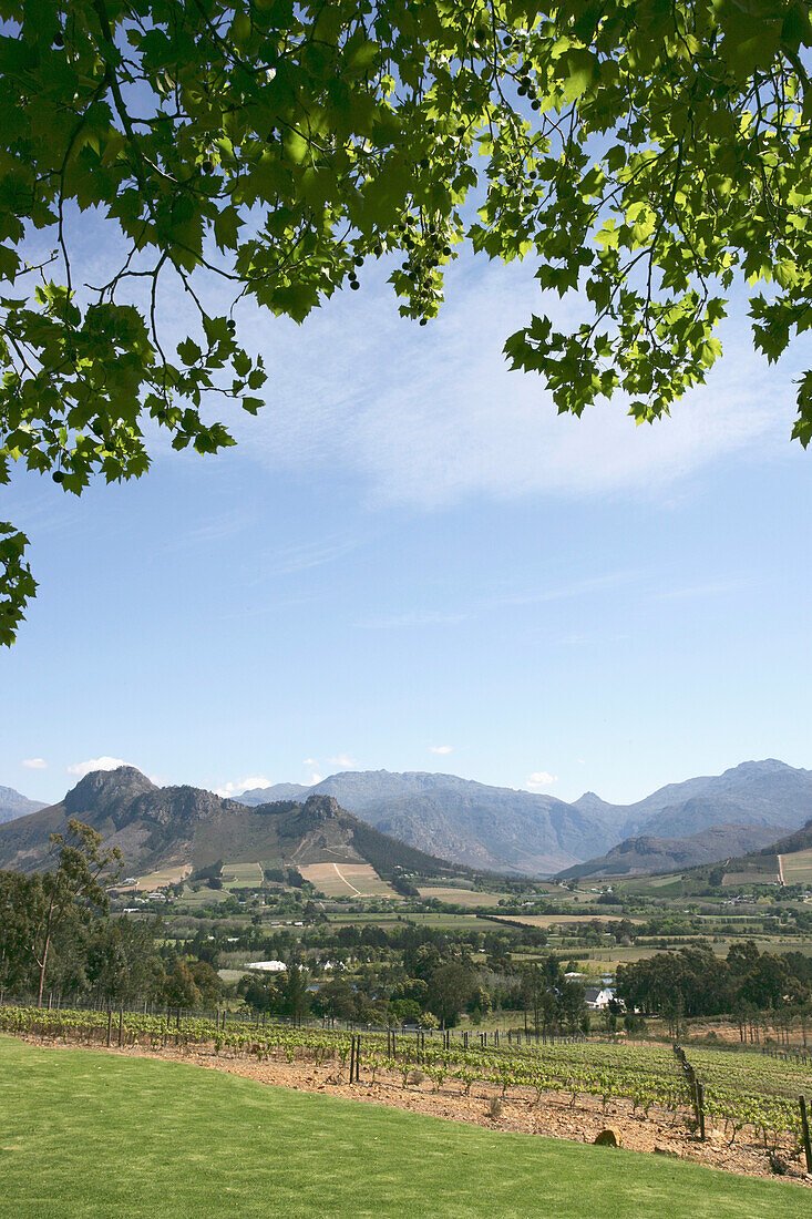 Franschoek Stadt und Tal Winelands Südafrika