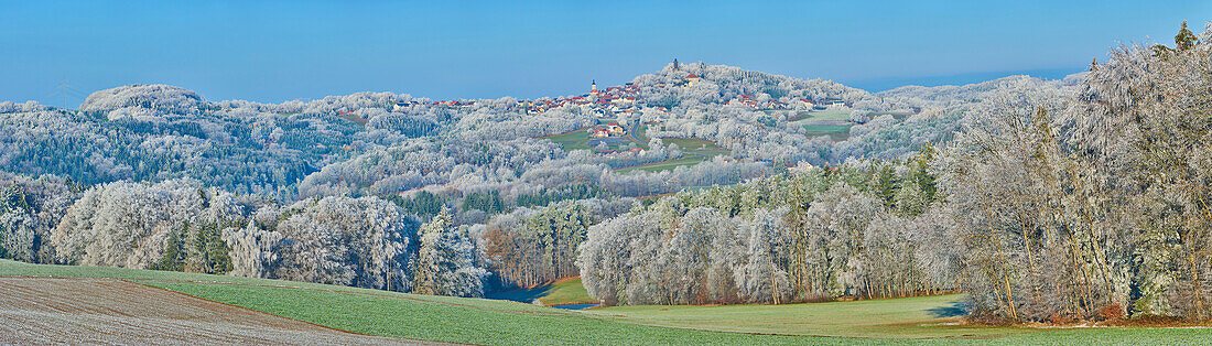 Castle ruin Brennberg, fields and meadows with frozen trees in the Bavarian Forest; Bavaria, Germany