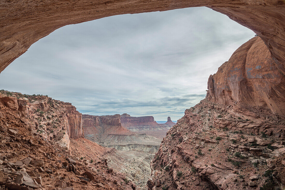 An alcove at Canyonlands National Park, Utah.