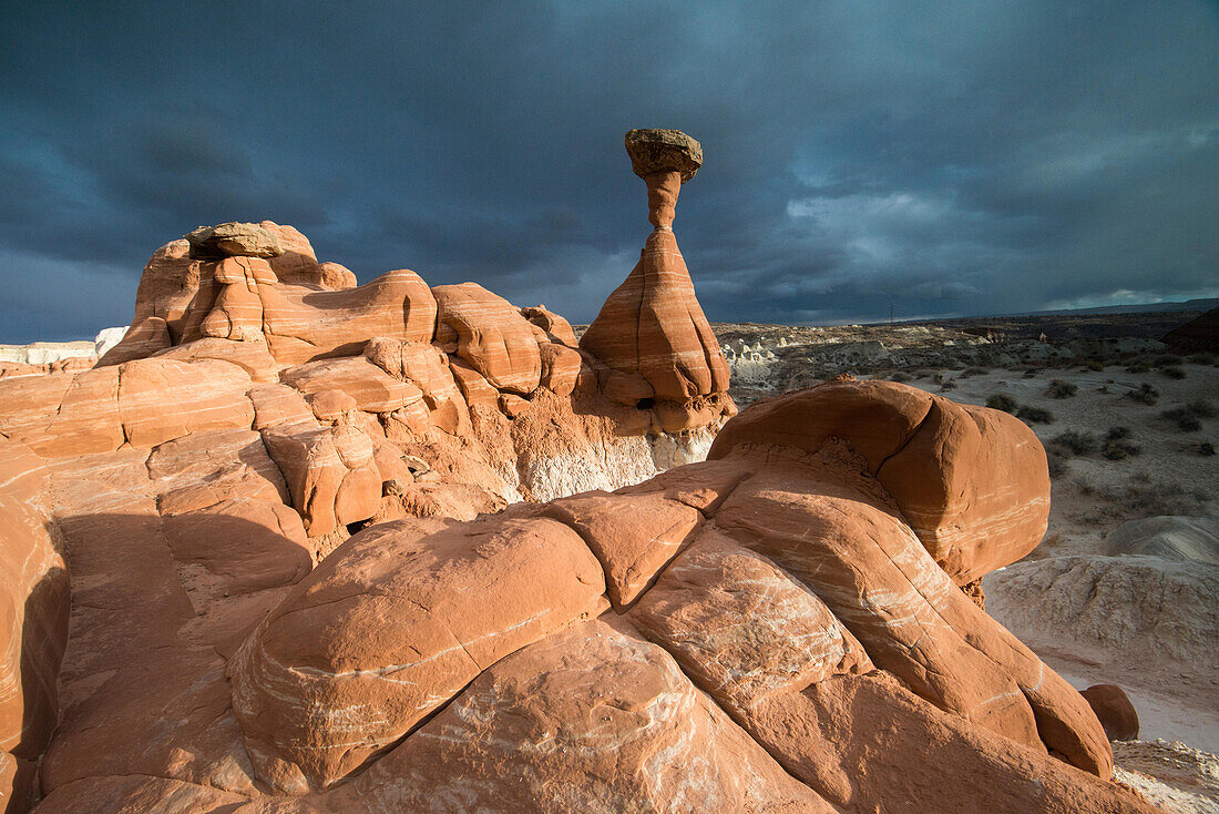 Toadstool hoodoos at Grand Staircase-Escalante National Monument in Utah.