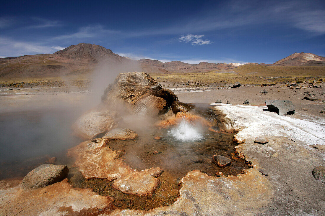 Geiseres Del Tatio Near San Pedro De AtacamaChile