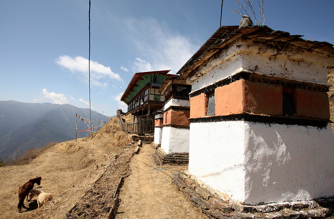 Buddhistisches Kloster und Gebetsfahnen, oberhalb des Paro-Tals, Bhutan
