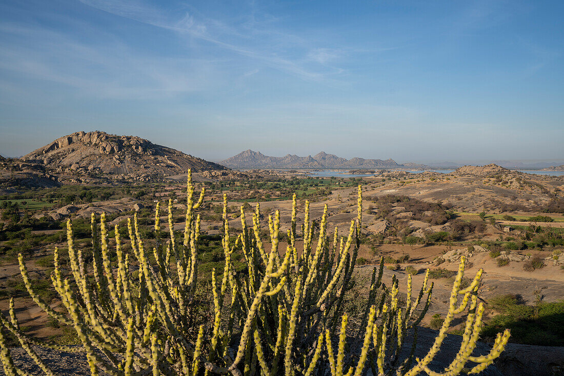 Die Landschaft um einen Stausee und die Wüste mit Wüstenpflanzen und den Aravali Hills in der Pali-Ebene von Rajasthan; Rajasthan, Indien