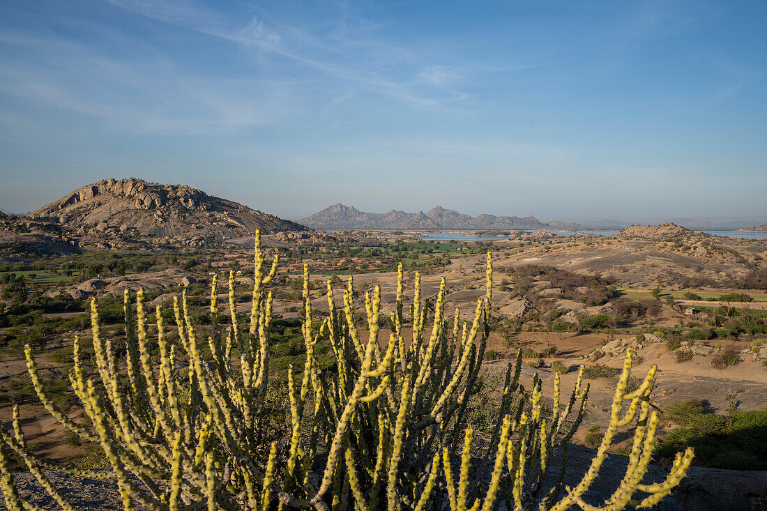 The landscape surrounding a dam lake and desert with desert plants and the Aravali Hills in the Pali Plain of Rajasthan; Rajasthan, India