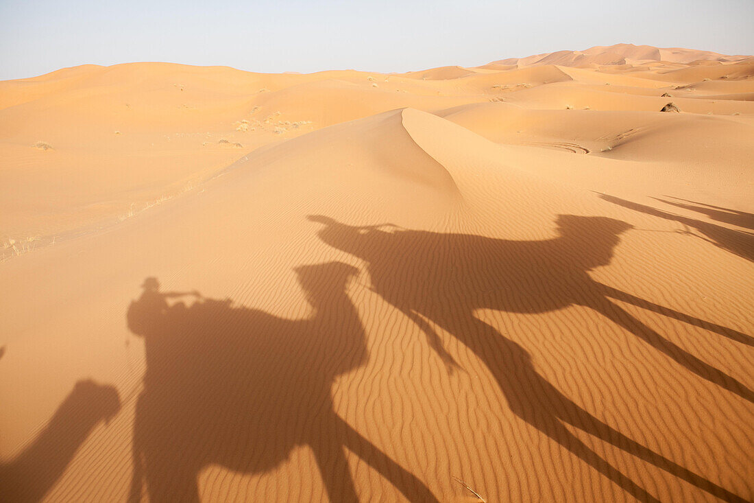 Schatten von Kamelen und Menschen bedecken eine Sanddünenlandschaft; Erg Chebbi , Saharawüste , Marokko