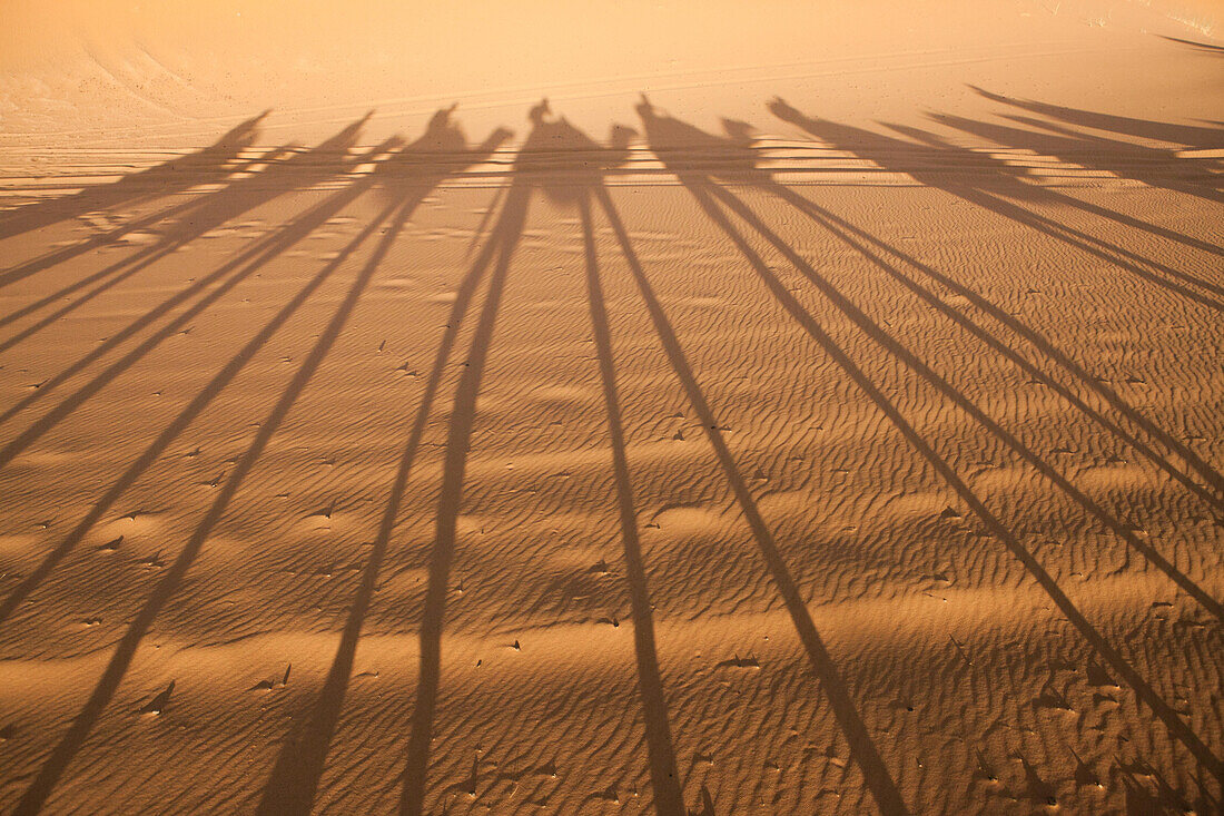 Schatten von Kamelen und Menschen bedecken eine Sanddünenlandschaft; Erg Chebbi , Saharawüste , Marokko