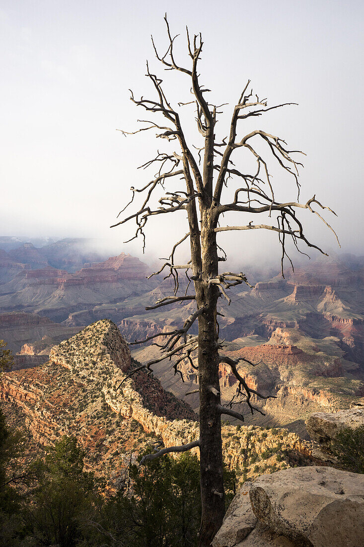 Blick auf den Grand Canyon vom Grandview Point aus; Grand Canyon National Park, Arizona