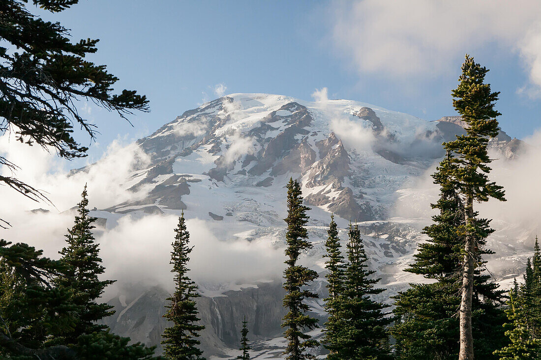 The summit of Mount Rainier, visible through low-lying clouds and evergreen trees.; Mount Rainier National Park, Washington