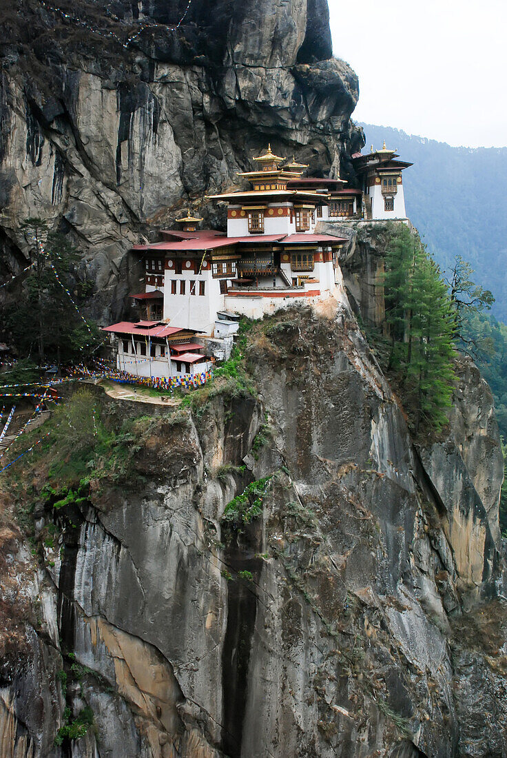 Taktsang Lhakhang, bekannt als das Tigernest, ist ein Kloster, das sich an eine vertikale Granitklippe klammert; Paro, Bhutan