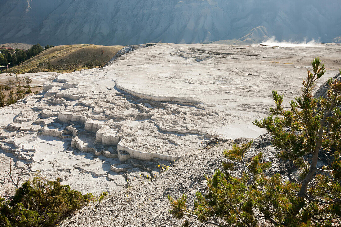 White mineral deposits from geothermal features in Mammoth Hot Springs.; Yellowstone National Park, Wyoming