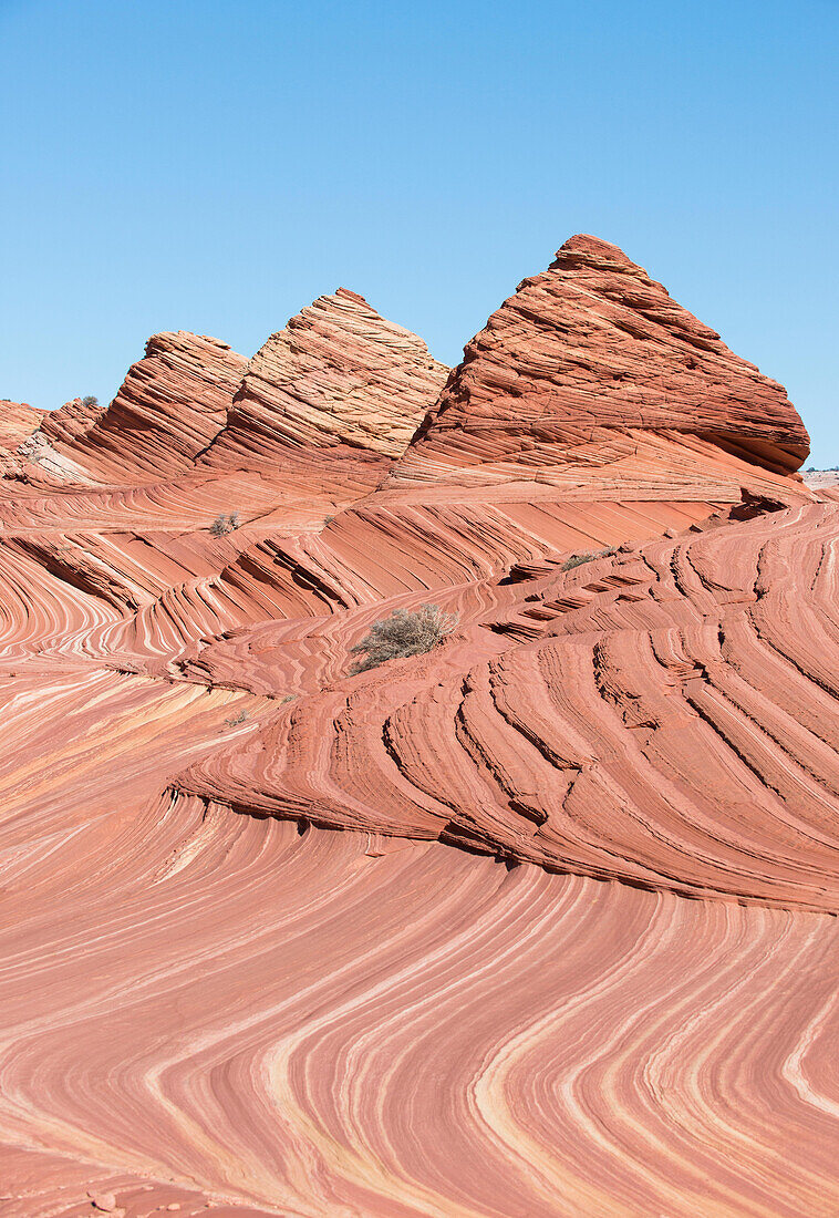 Pyramidenförmige Sandsteinfelsen bei Coyote Buttes North, Teil des Paria Canyon-Vermilion Cliffs Wilderness Gebietes.