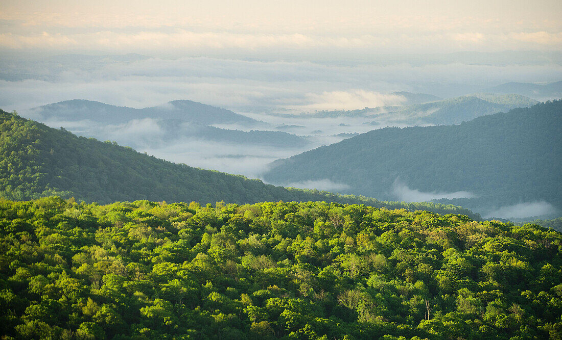 Nebel im Tal unterhalb der Blue Ridge Mountains im Shenandoah National Park.