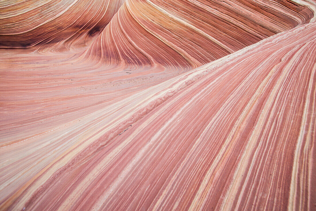 The Wave sandstone rock formation, located in Coyote Buttes North, Paria Canyon, Vermillion Cliffs Wilderness.