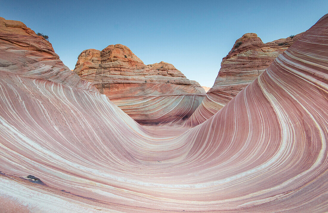 Die Wave Sandstein Felsformation, gelegen in Coyote Buttes North, Paria Canyon, Vermillion Cliffs Wilderness.