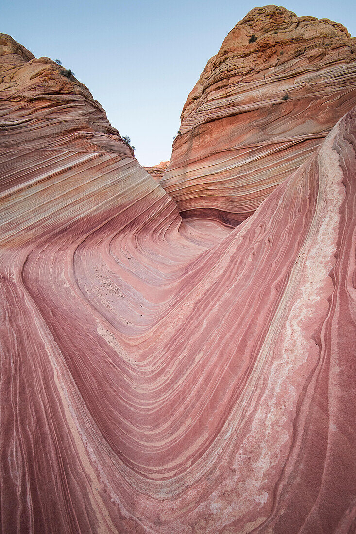 Die Wave Sandstein-Felsformation, gelegen in Coyote Buttes North, Paria Canyon, Vermillion Cliffs Wilderness.