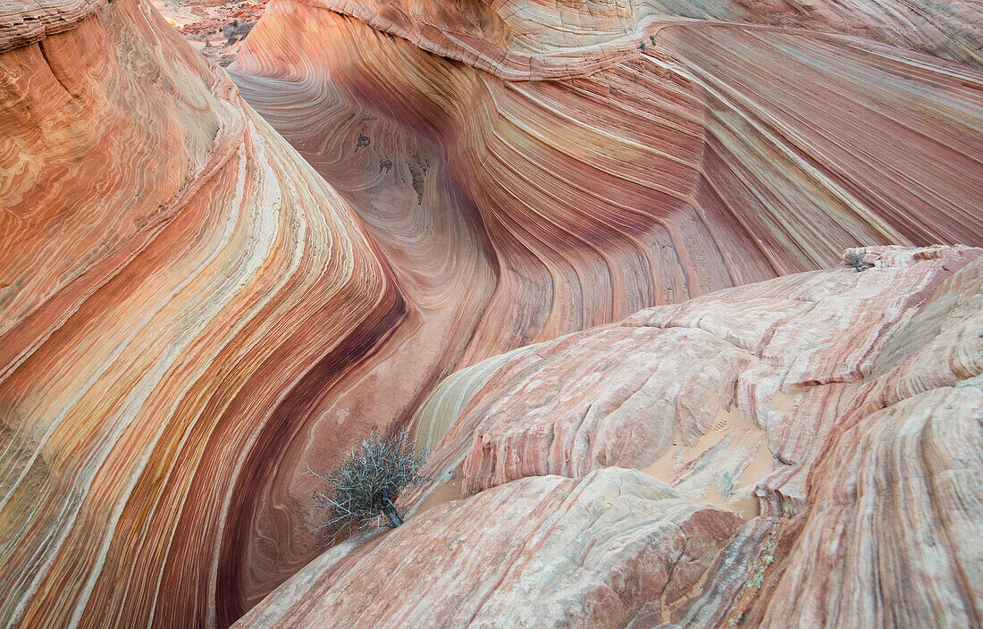 The Wave sandstone rock formation, located in Coyote Buttes North, Paria Canyon, Vermillion Cliffs Wilderness.