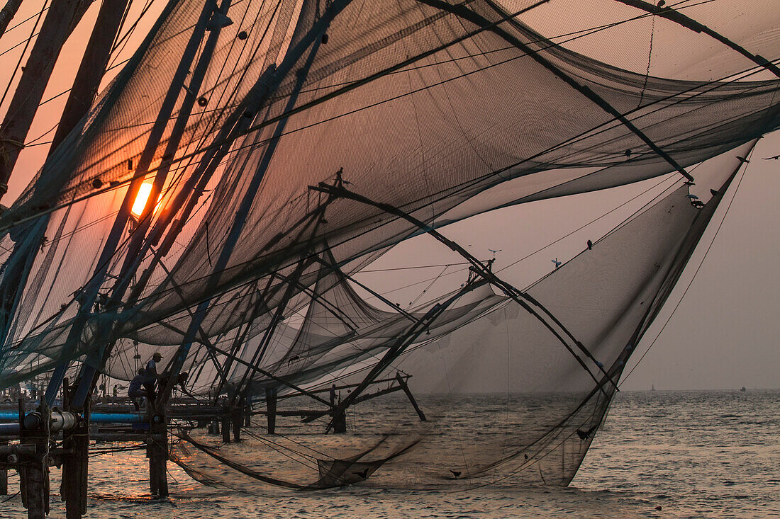 Traditionelle, "chinesische" Fischernetze bei Sonnenuntergang in der Hafenmündung; Kochi, Kerala, Indien