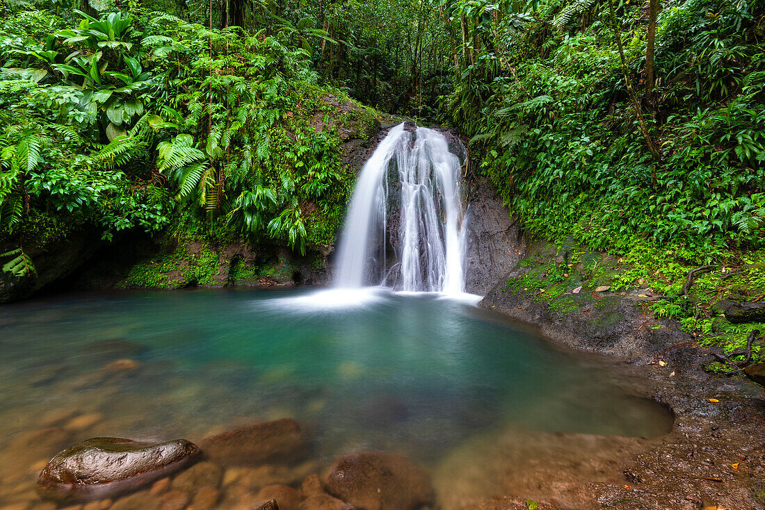 Ruhiger Wasserfall, Cascades aux Ecrevisses, in einem tropischen Wald auf Basse-Terre; Guadeloupe, Französisch-Westindien