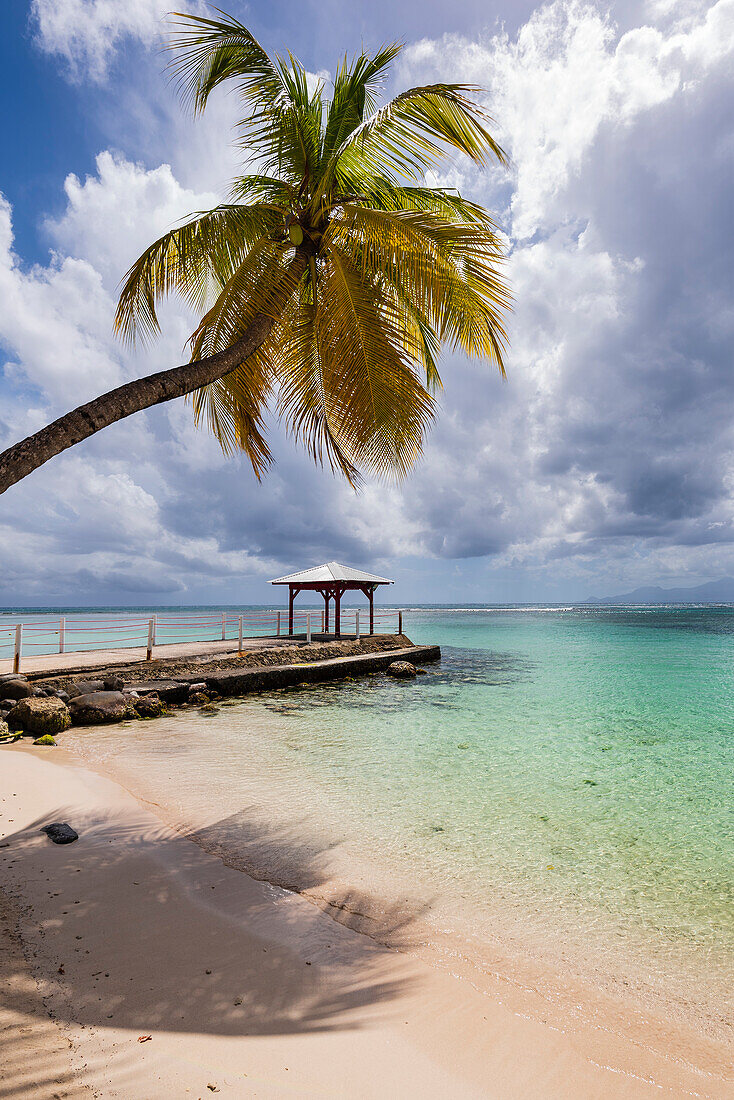 Pavillon am Ende eines Anlegers mit einer Palme am Sandstrand Plage de la Caravelle am Ufer des Karibischen Meeres, Sainte-Anne auf Grande-Terre; Guadeloupe, Französisch-Westindien
