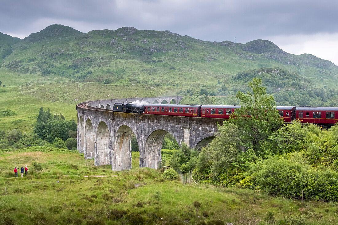 Der durch die Harry-Potter-Filme berühmt gewordene Jacobite Train fährt über das Glenfinnan-Viadukt in Glenfinnan, Schottland; Glenfinnan, Inverness-shire, Schottland