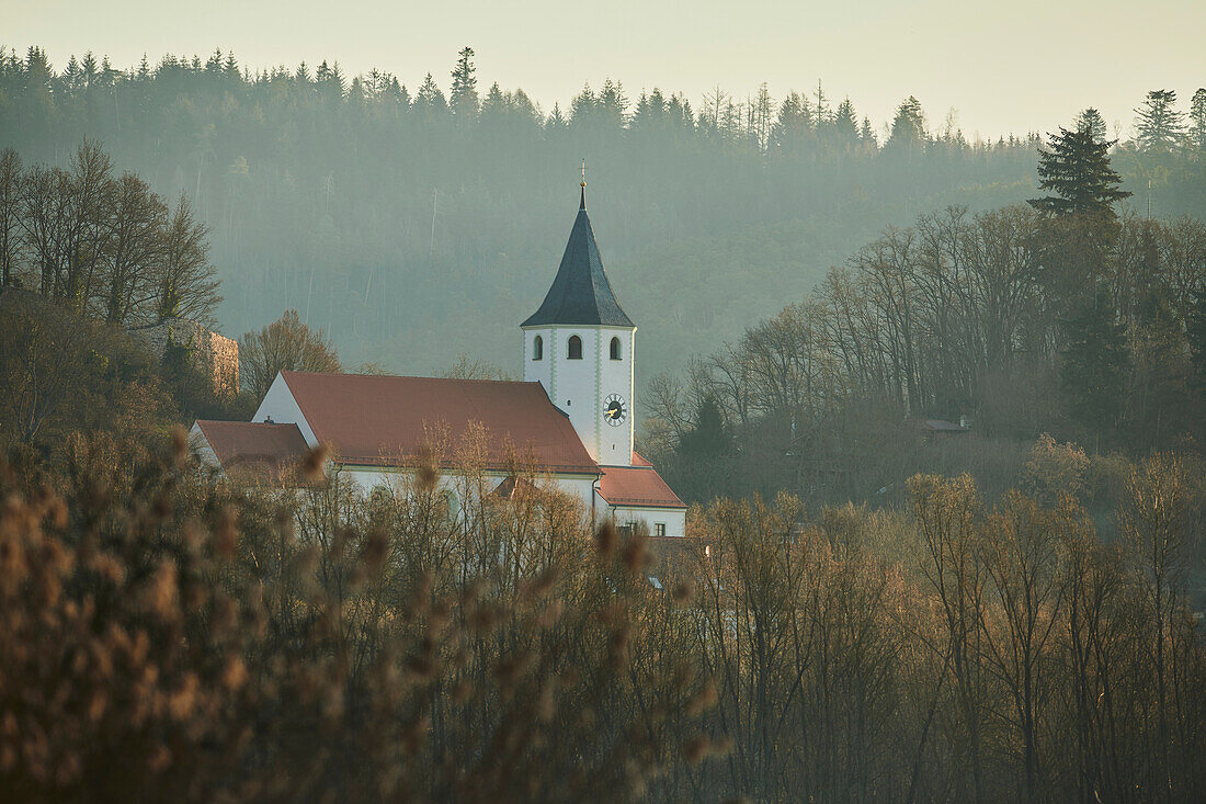 Sonnenaufgang über der Kirche von Tegernheim mit Büschen und kahlen Bäumen im Morgenlicht; Tegernheim, Bayern, Deutschland