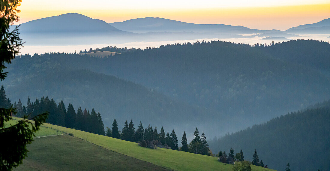 Blauer Farbton über den silhouettierten Karpaten bei Tasuleasa Social NGO für den Via Transilvanica Weg durch Transsilvanien, als die Sonne am Horizont aufgeht und den Nebel beleuchtet; Transsilvanien, Rumänien