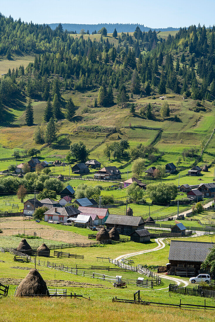 Bauernhäuser und traditionelle rumänische Heuhaufen in der ländlichen Umgebung von Siebenbürgen an einem sonnigen Tag; Siebenbürgen, Rumänien