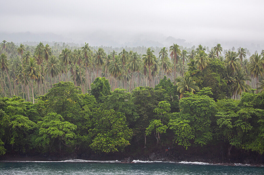 Islanders on the rocky shore of tropical trees with cocoa plantation on Karkar Island in the Bismarck Sea off the north coast of Papua New Guinea; Karkar, Madang, Papua New Guinea