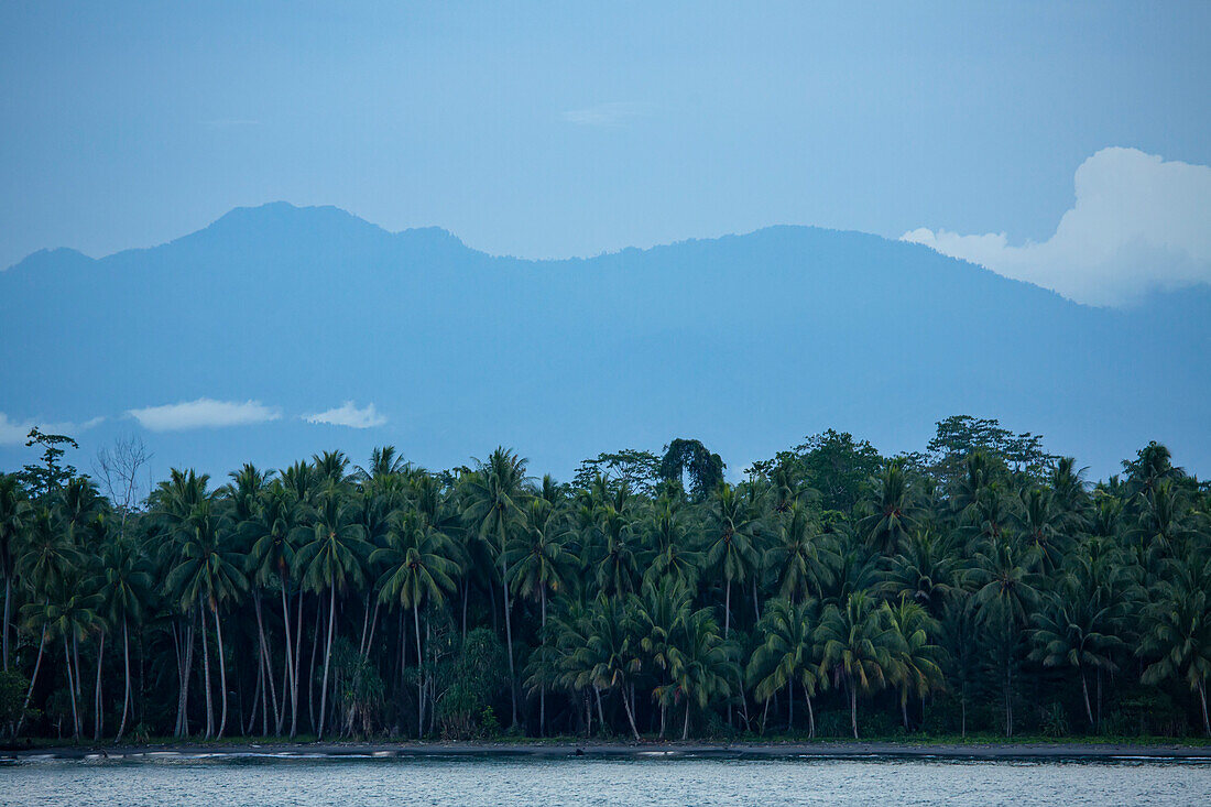 Dschungel und Küstendorf zwischen Kokospalmen (Cocos nucifera) mit Silhouetten der Berge in der Ferne an der Küste der Provinz Morobe; Provinz Morobe, Papua-Neuguinea
