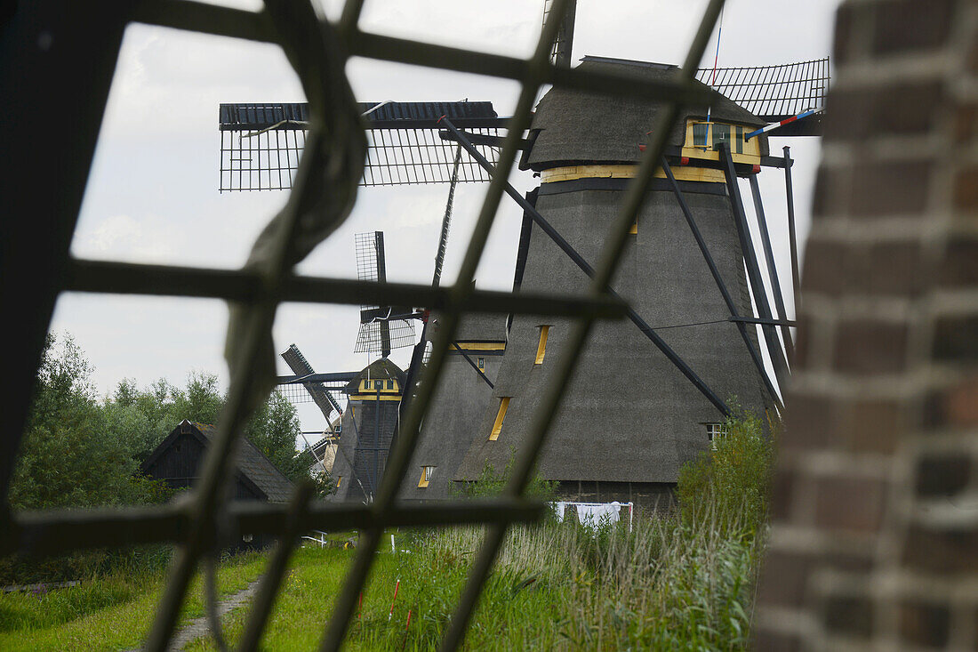 Blick auf eine Reihe traditioneller Windmühlen durch das Gerüst eines Windmühlenflügels; Kinderdijk, Südholland, Niederlande
