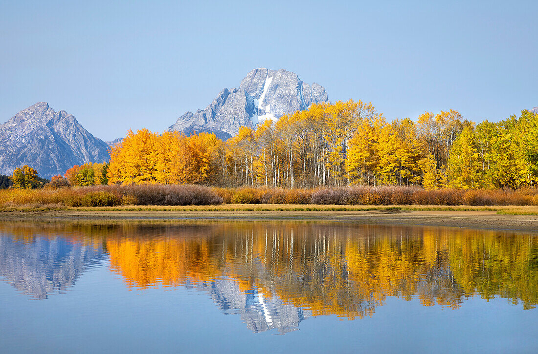 Die Grand Tetons im Grand Teton National Park spiegeln die Herbstfarben im Snake River wider; Wyoming, Vereinigte Staaten von Amerika