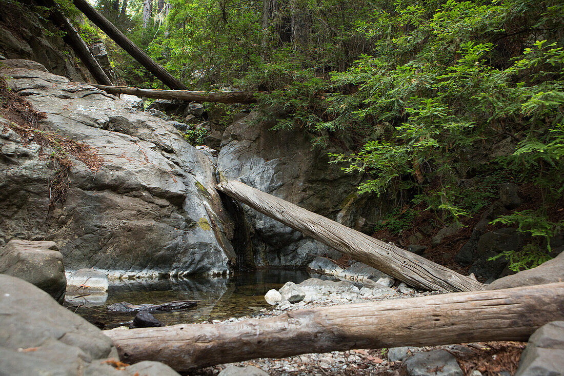 Umgefallene Baumstämme ruhen auf Felsen in der Nähe eines Süßwasserflusses; Big Sur, Kalifornien