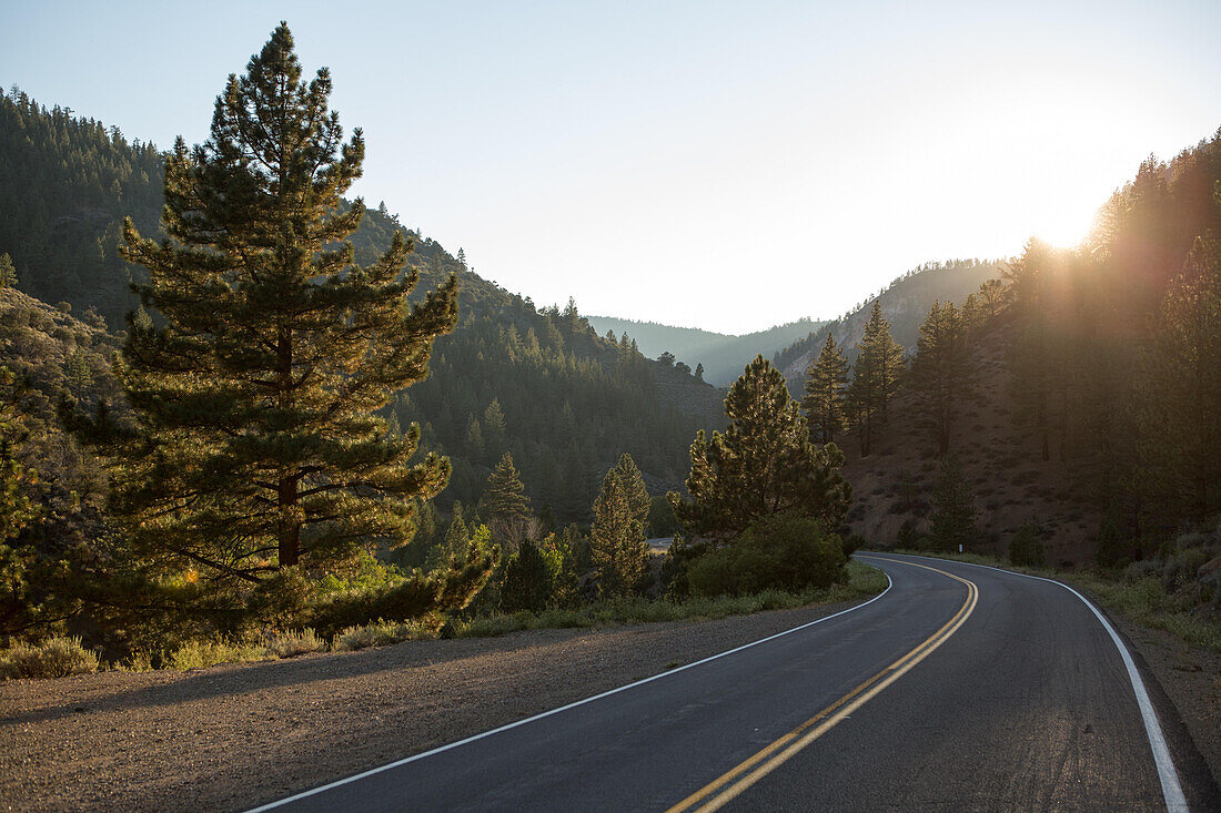 A road curving through mountains as the sun bursts from behind trees.; El Dorado National Forest, California