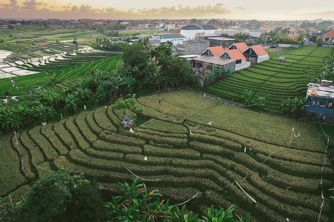 Terrassenwirtschaft und landwirtschaftliche Gebäude; Canggu, Bali, Indonesien
