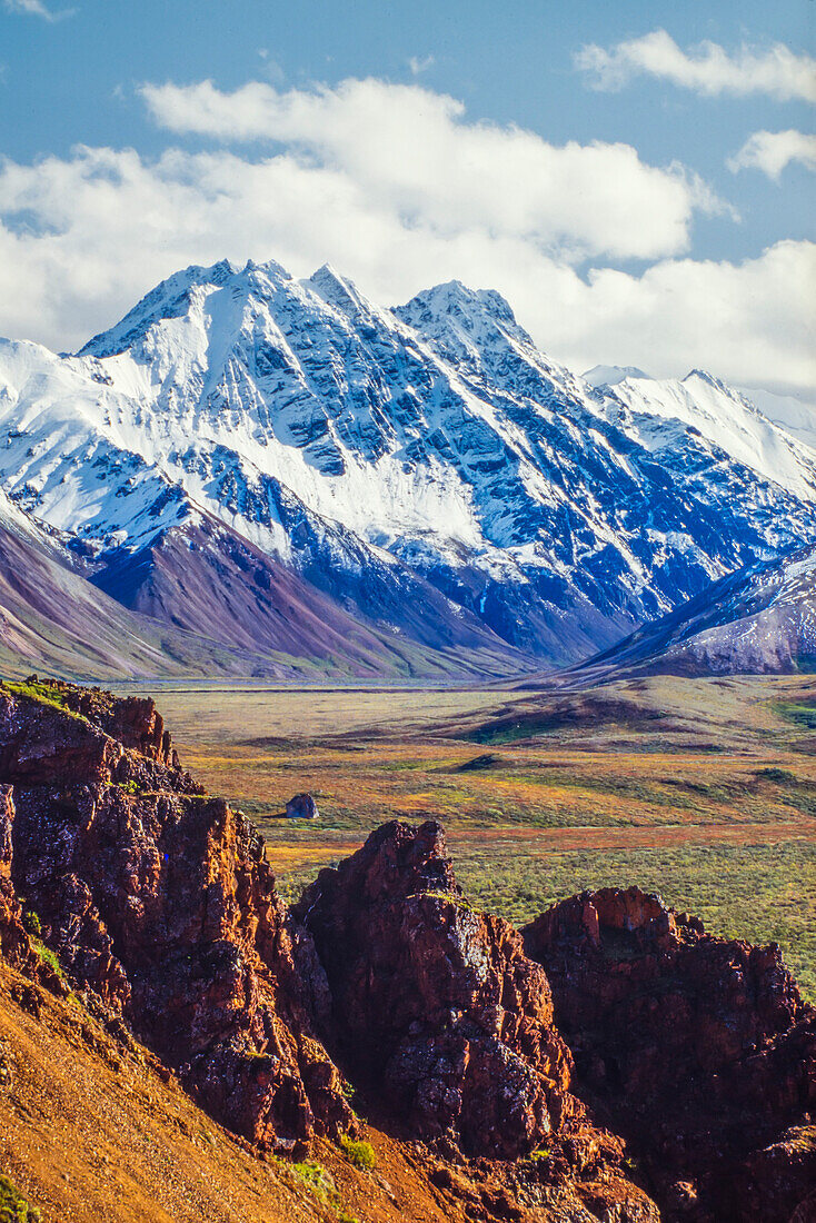 Schneebedeckter Denali mit felsigen Klippen und buntem Laub in der Tundra im Denali National Park; Alaska, Vereinigte Staaten von Amerika