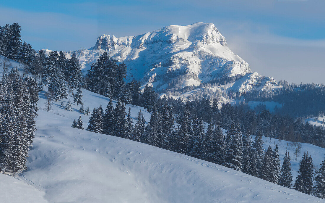 Blick auf den schneebedeckten Barronette Peak in der Absaroka Range an einem sonnigen Wintertag im Yellowstone National Park; Wyoming, Vereinigte Staaten von Amerika