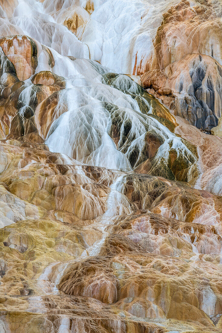 Thermal runoff channels create travertine mineral deposits at Canary Spring of the Mammoth Hot Springs in Yellowstone Natural Park; Wyoming, United States of America
