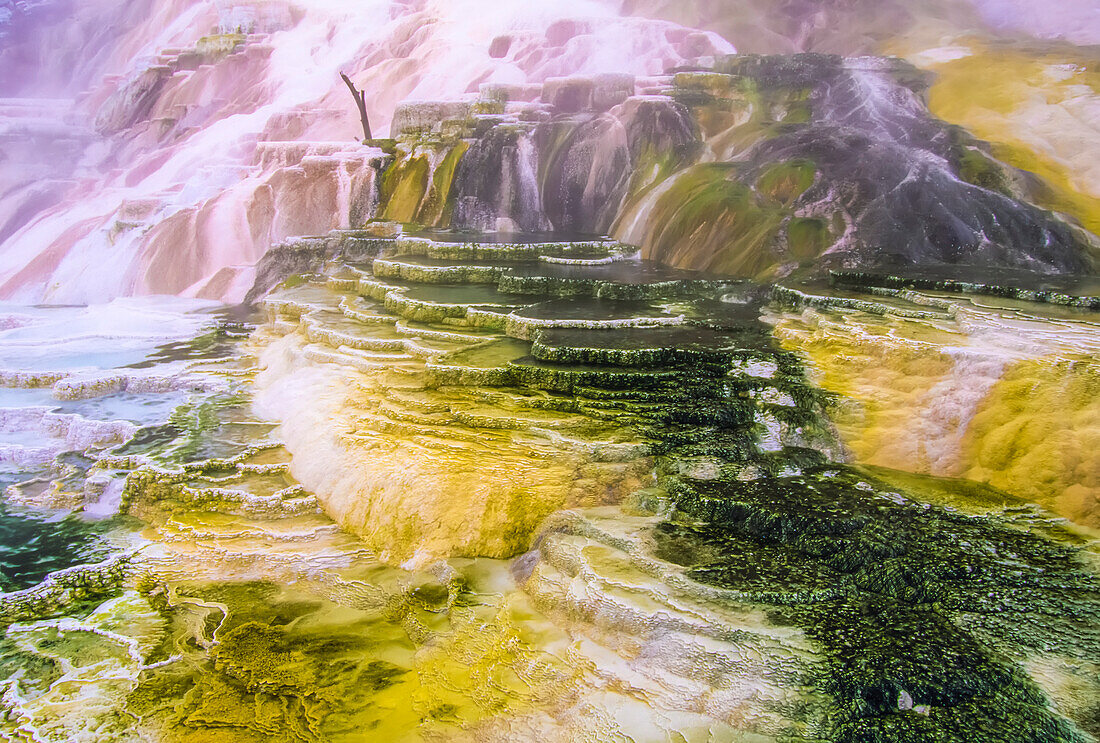 Luftaufnahme des Wassers, das über die bunten Abflussterrassen der Palette Spring im Winter fließt, Mammoth Hot Springs; Yellowstone National Park, Wyoming, Vereinigte Staaten von Amerika