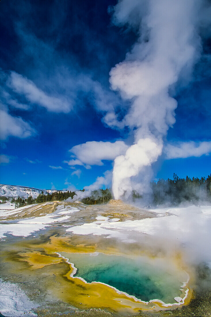 Dampfschwaden von Heart Spring und Lion Geyser.