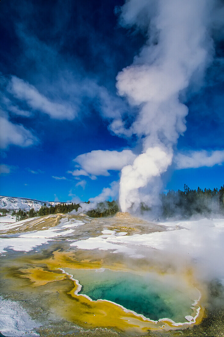 Steam billows from Heart Spring and Lion Geyser.