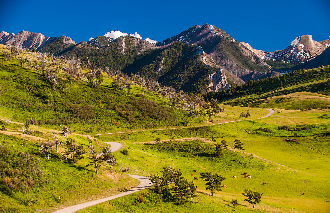 Scenic landscape of a road through the Absaroka Mountain Range.