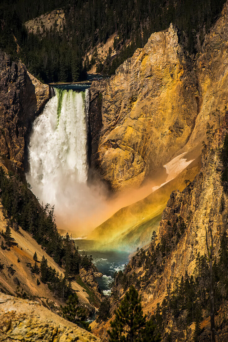 Lower Falls des Yellowstone River mit der sonnenbeschienenen Gischt, die einen Regenbogen im Grand Canyon of the Yellowstone im Yellowstone National Park bildet; Wyoming, Vereinigte Staaten von Amerika