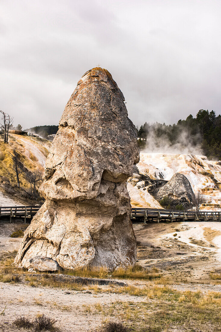 Nahaufnahme der Liberty Cap, einer kegelförmigen Felsformation, die durch Mineralablagerungen einer alten, ruhenden heißen Quelle an der Palette Spring in Mammoth Hot Springs, Yellowstone National Park; Wyoming, Vereinigte Staaten von Amerika